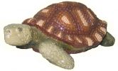 Черепаха маленькая